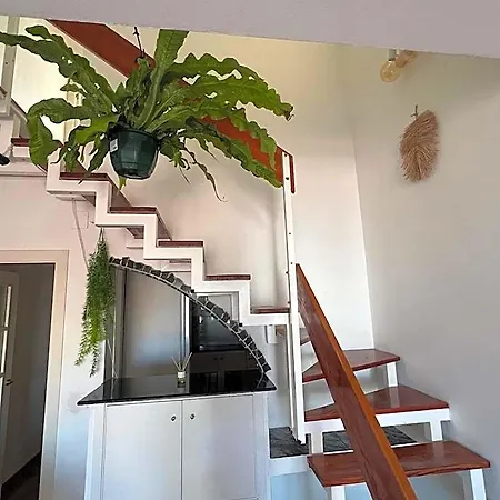 Private Double In A Shared Penthouse With Patios *